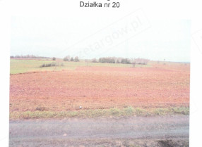 Nieruchomość