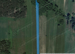 Image category