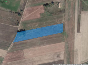 Image category