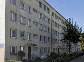 Image category