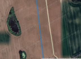 Image category