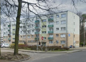 Image category