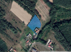 Nieruchomość