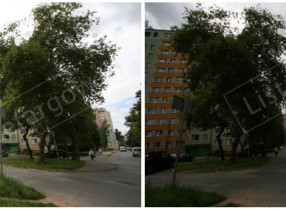 Zdjęcie nieruchomości