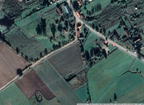 Image category