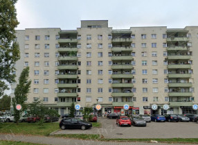 Image category