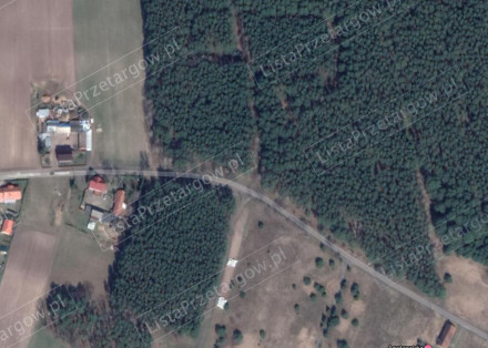 Nieruchomość