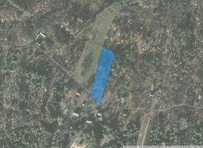 Image category