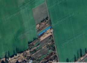 Image category