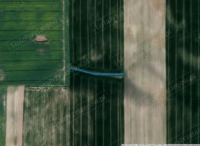 Image category
