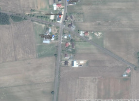 Image category