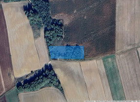 Nieruchomość