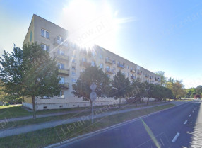Image category