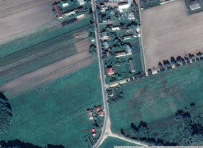 Image category