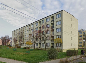 Image category