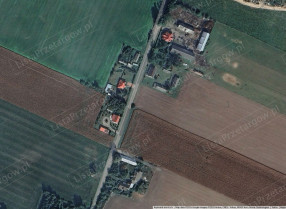 Image category