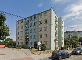 Image category