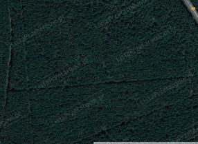 Image category