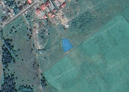 Image category