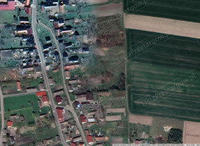 Image category