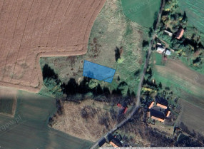 Image category