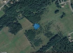 Nieruchomość