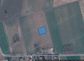 Nieruchomość