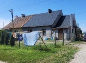 Image category