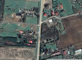 Image category