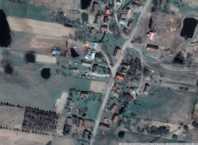 Image category