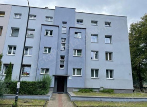 Image category