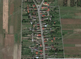 Image category