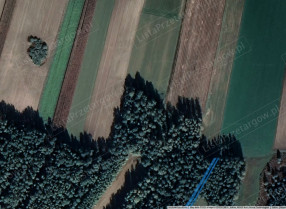 Image category