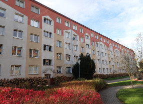Nieruchomość