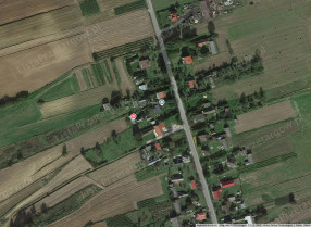 Image category