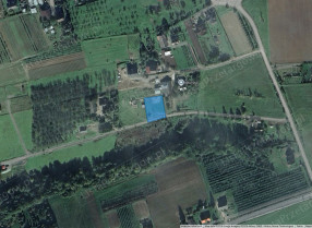 Image category