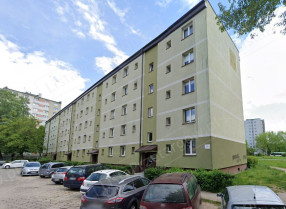 Image category