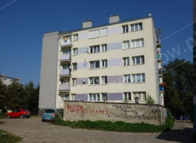 Image category