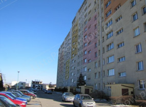 Nieruchomość