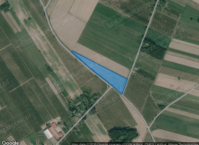 Zdjęcie nieruchomości