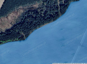 Image category