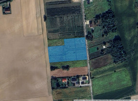 Image category