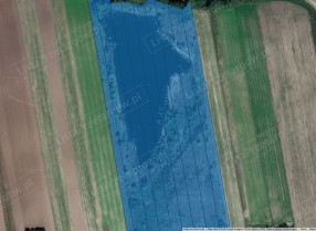 Image category