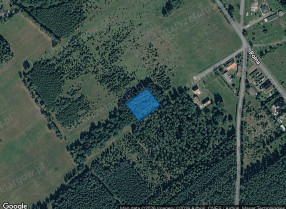 Nieruchomość