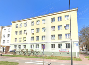 Image category