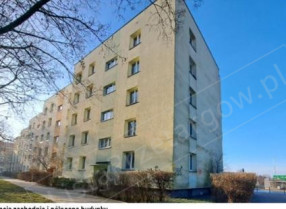 Image category