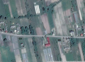 Image category
