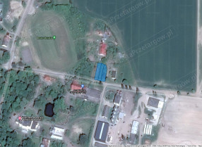 Image category