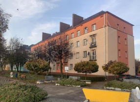 Image category