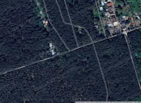 Image category